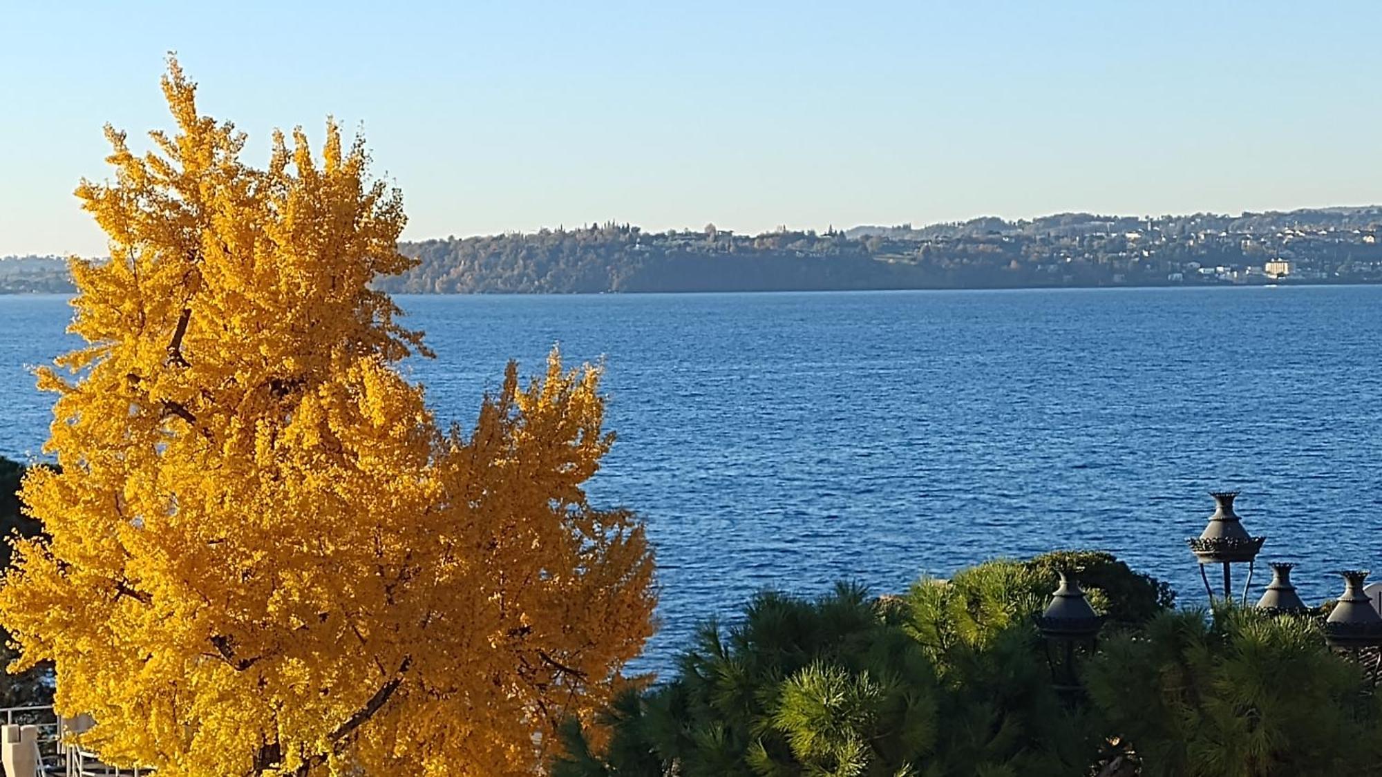 B&B Agora' Gardone Riviera Bagian luar foto